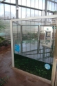 Crocodile swamp security glazing