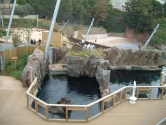 Landscaped seal display with waves