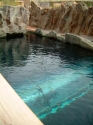 Seal display tunnel
