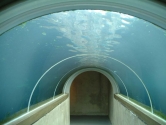 Seal pool tunnel