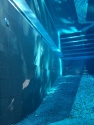Thru pool view