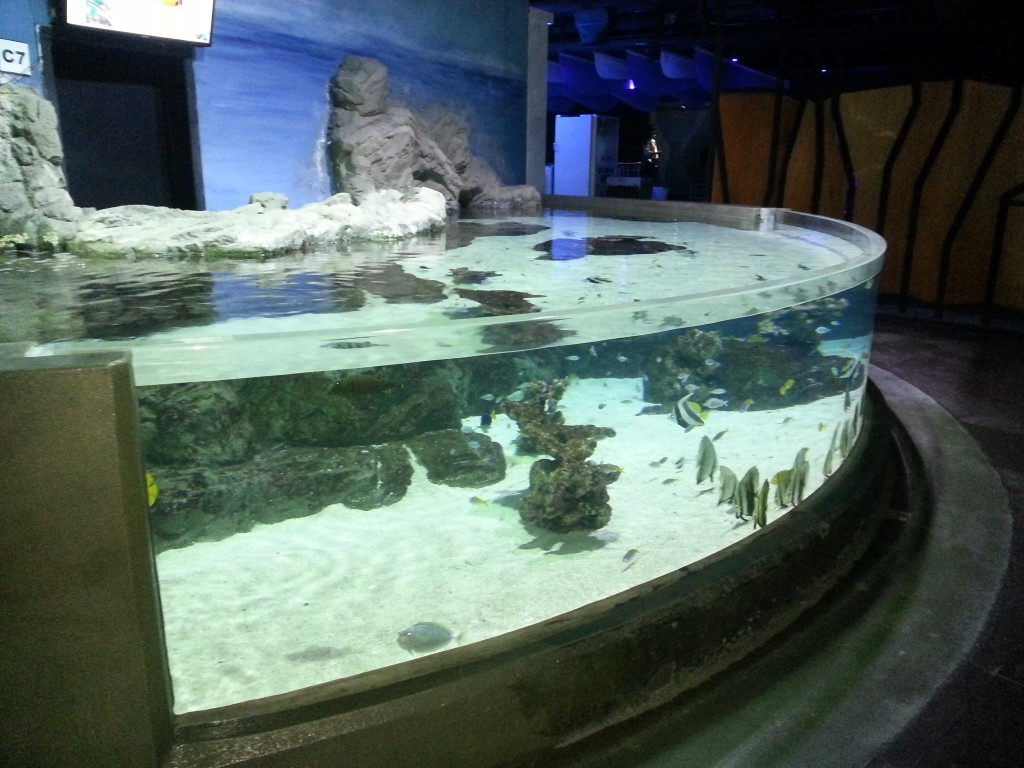 20131127_074801 (Medium)