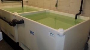 one of large range of tanks supplied by ATL