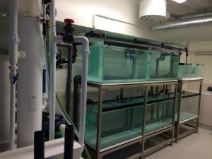 Sectional tank