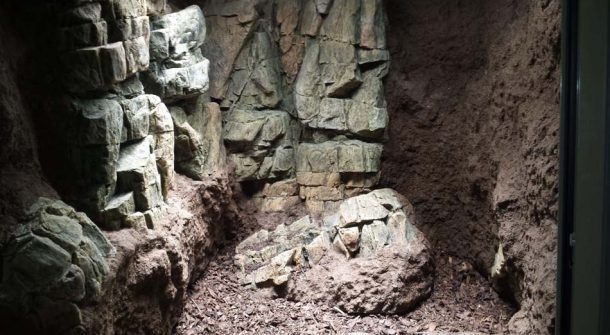 Aquaterrarium