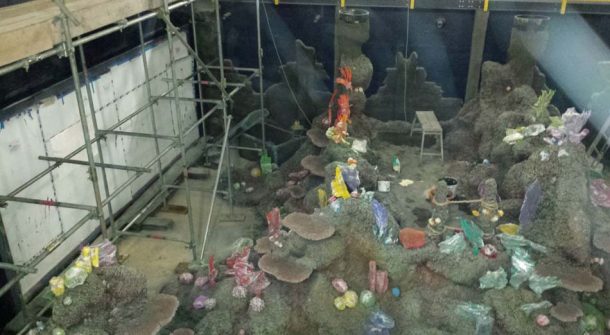 Coral Reef In Construction