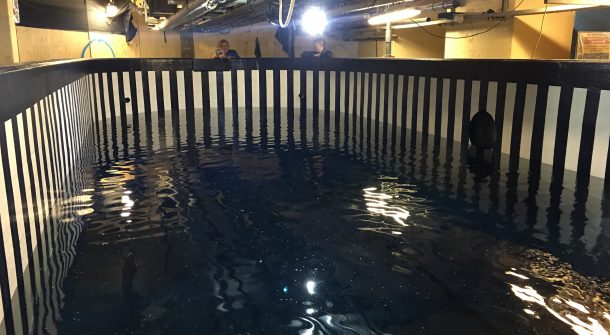 ATL bespoke tank lining