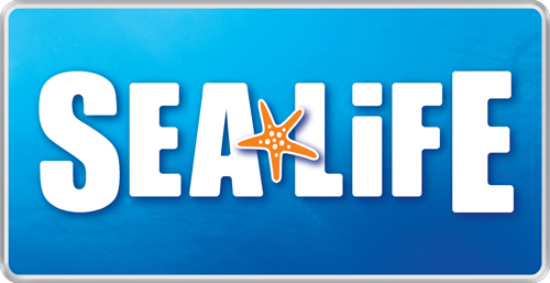 ATL clients Sealife