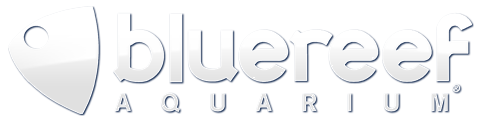 ATL Client bluereef Aquarium