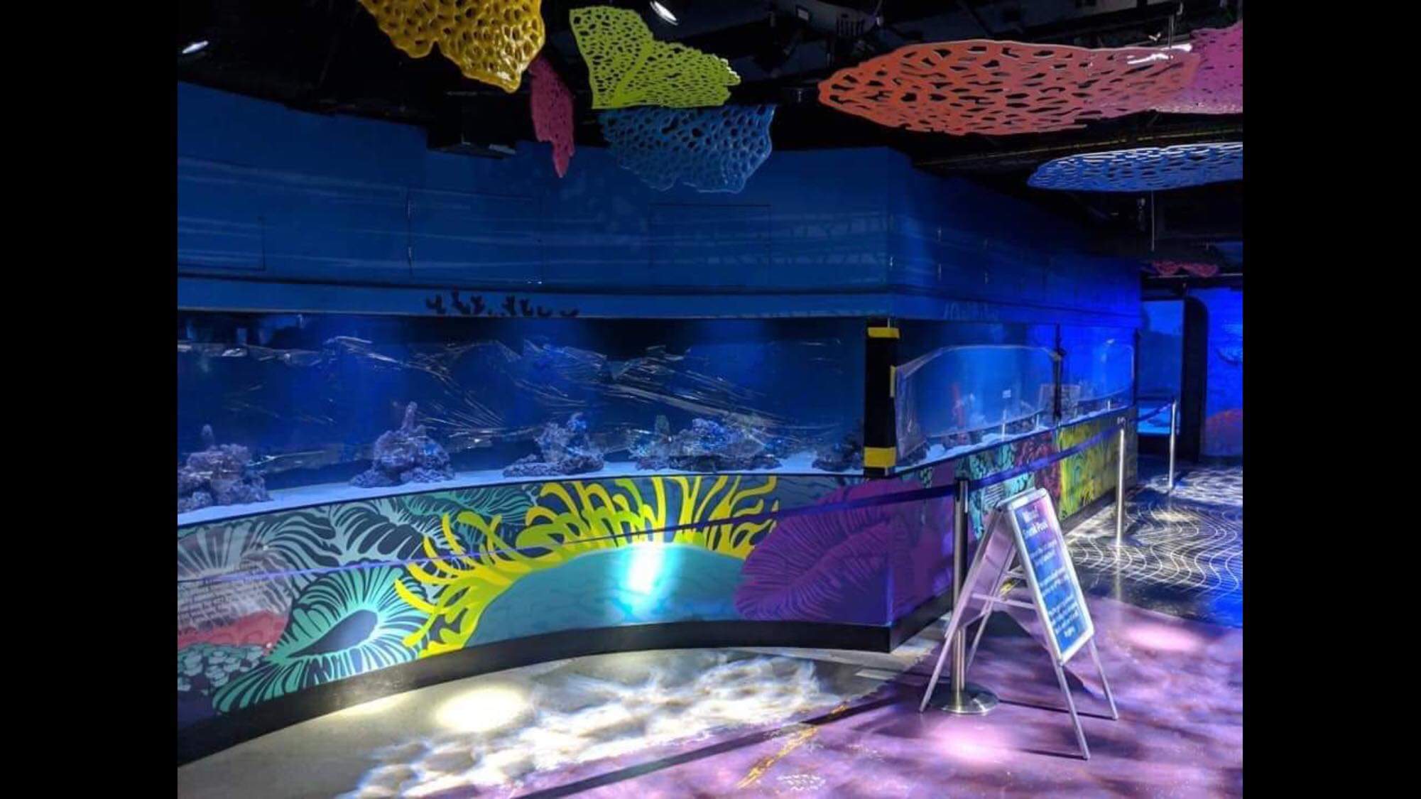 ATL coral kingdom display