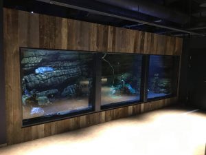 ATL Sealife trust project in Iceland