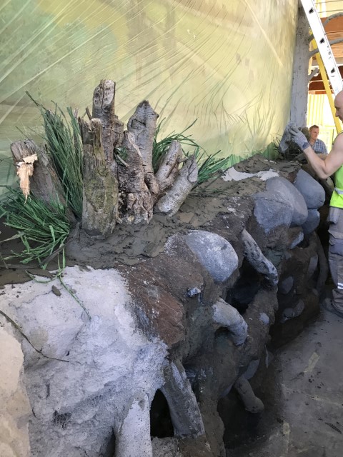 Freshwater aquarium