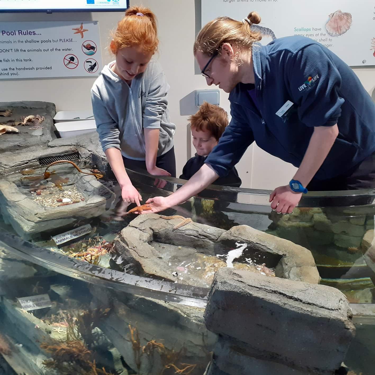 Rock pool for Macduff
