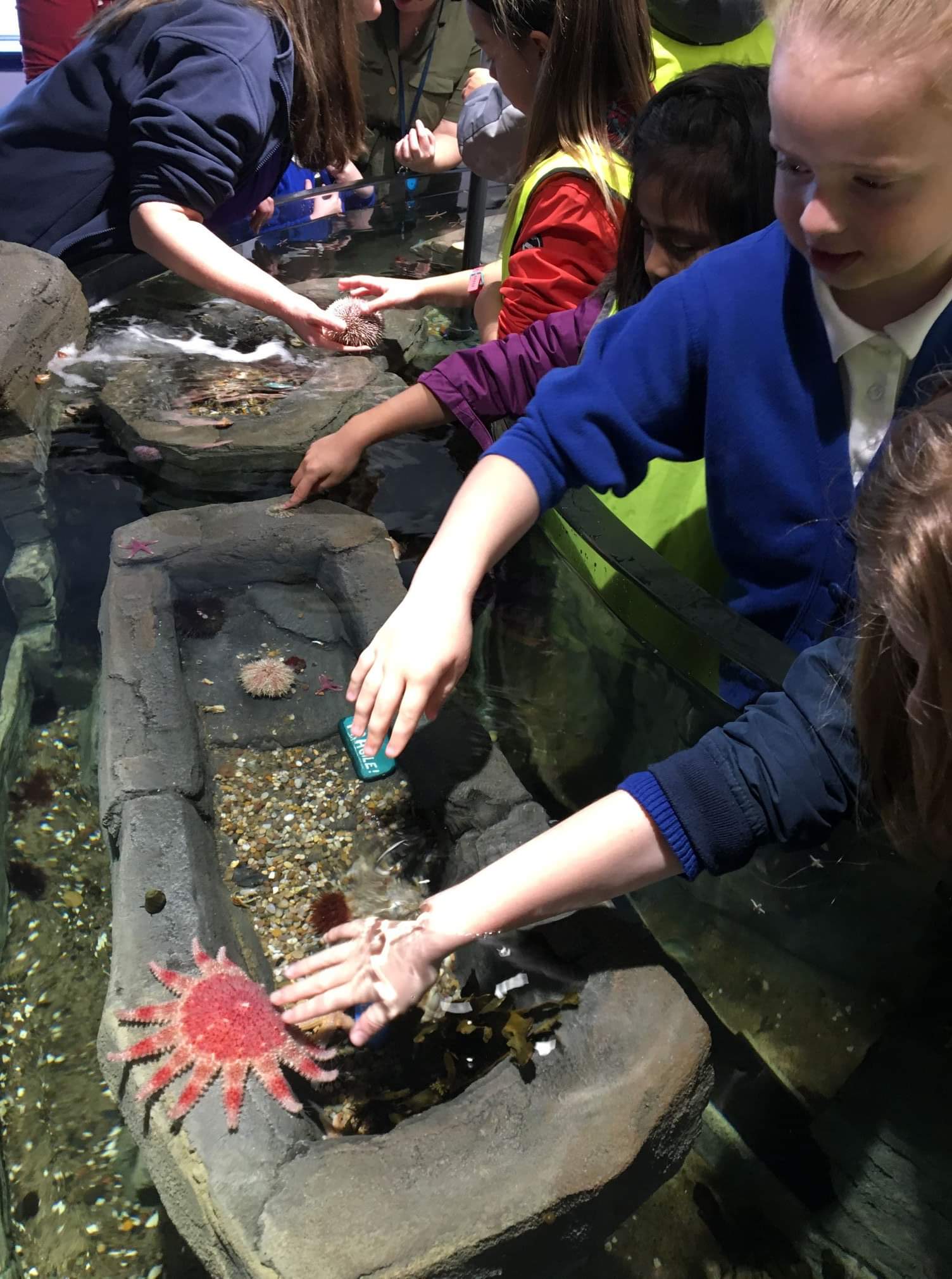 Rock pool for Macduff