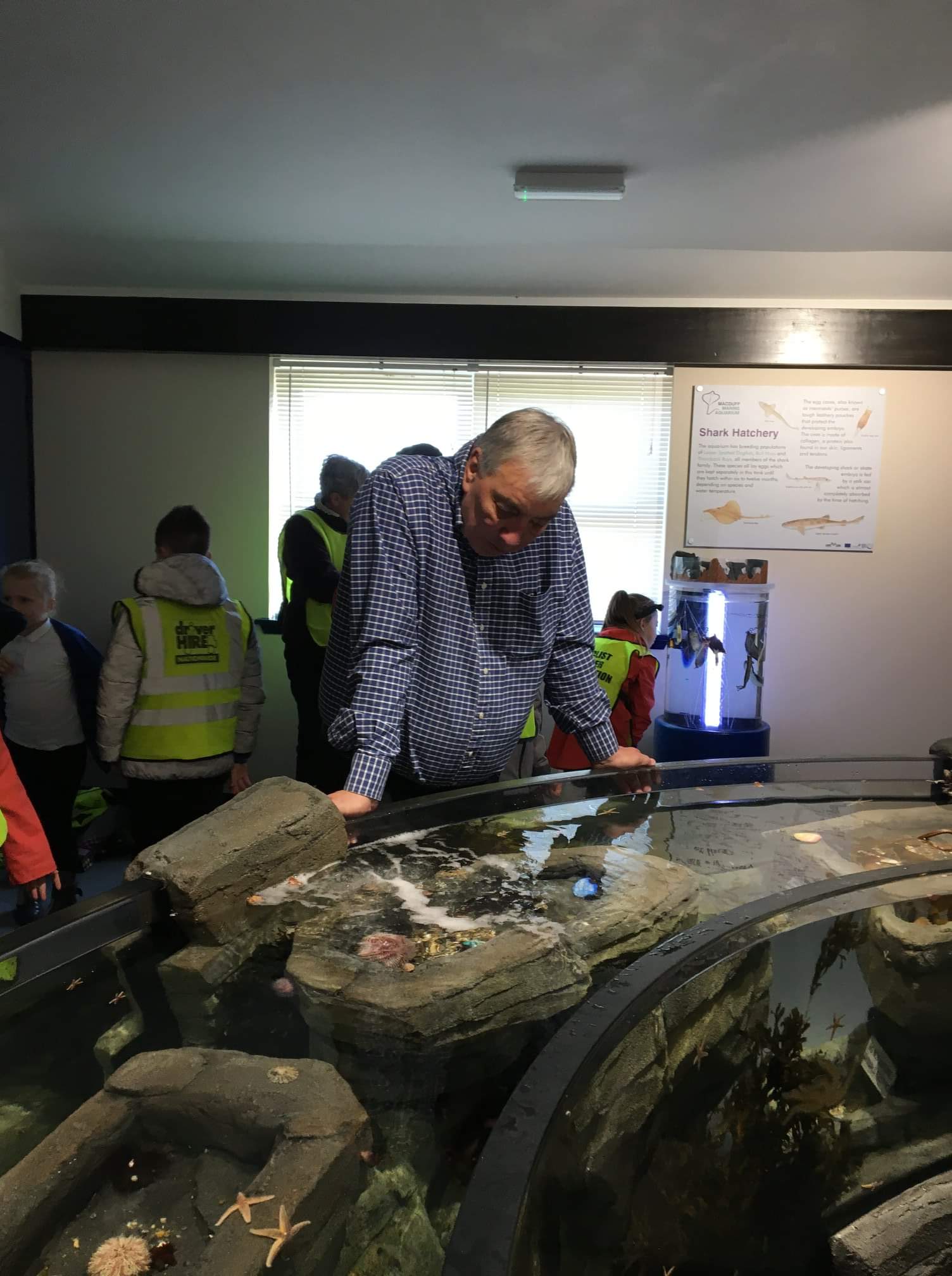 Rock pools for Macduff