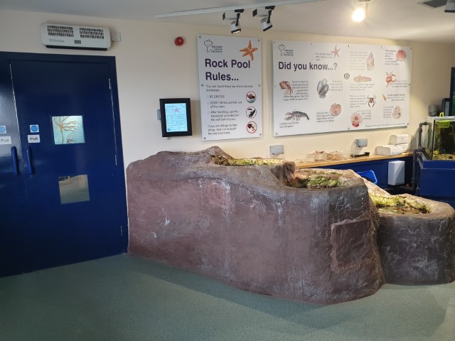 Rock pools for Macduff