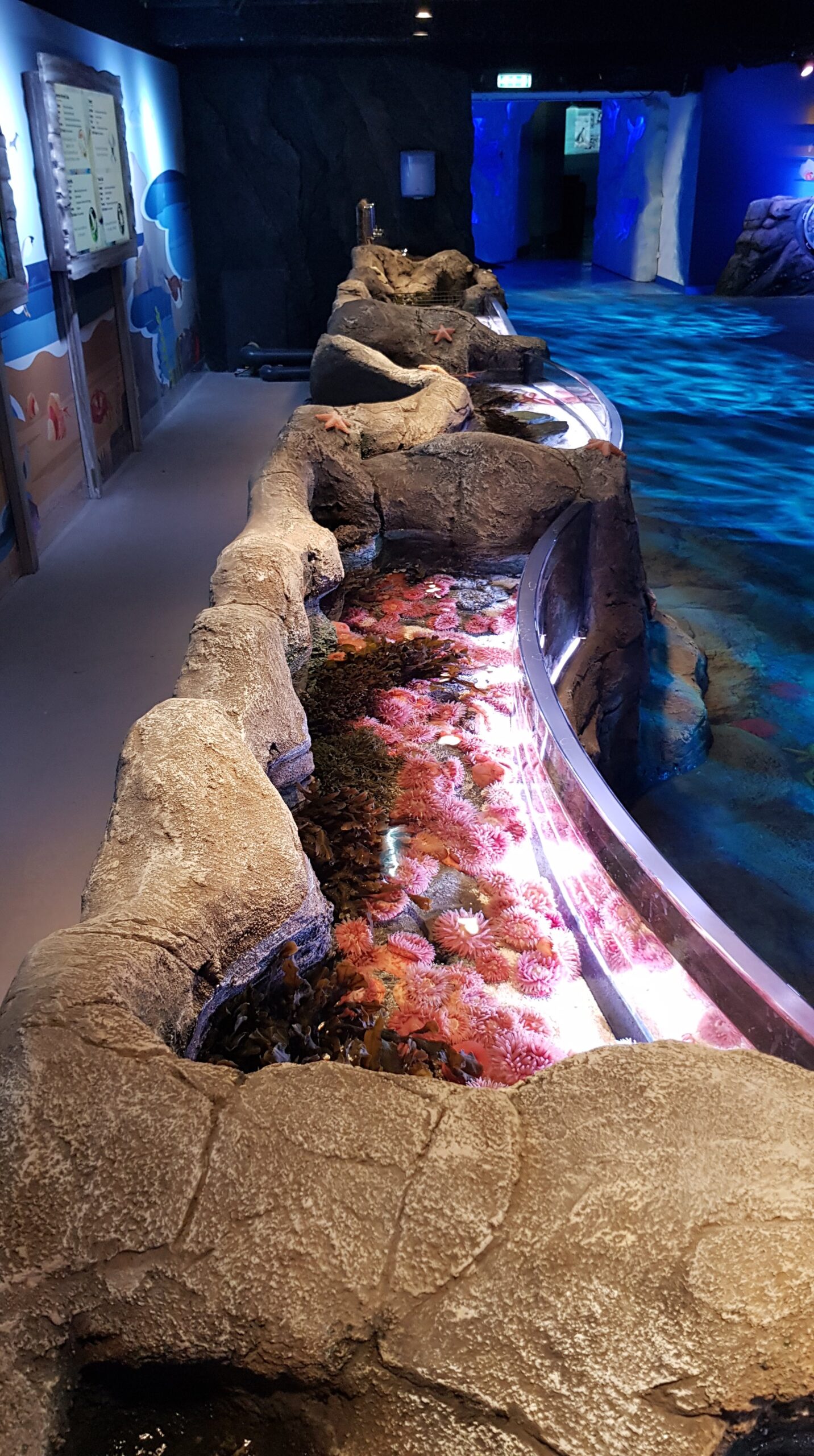 ATL rockpools in London