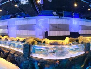 ATL rockpool London