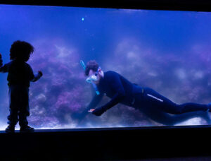 ZSL coral