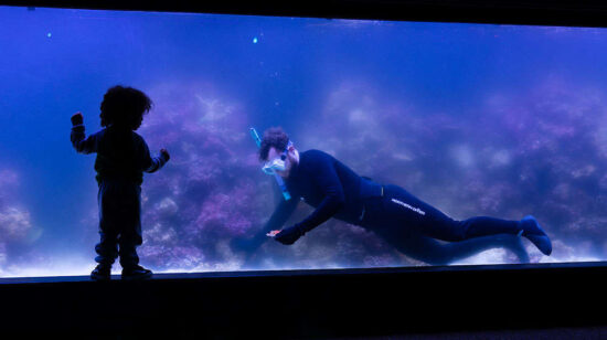 ZSL coral