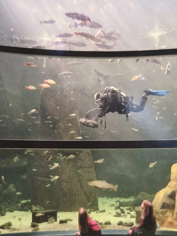 Kotka Maretarium