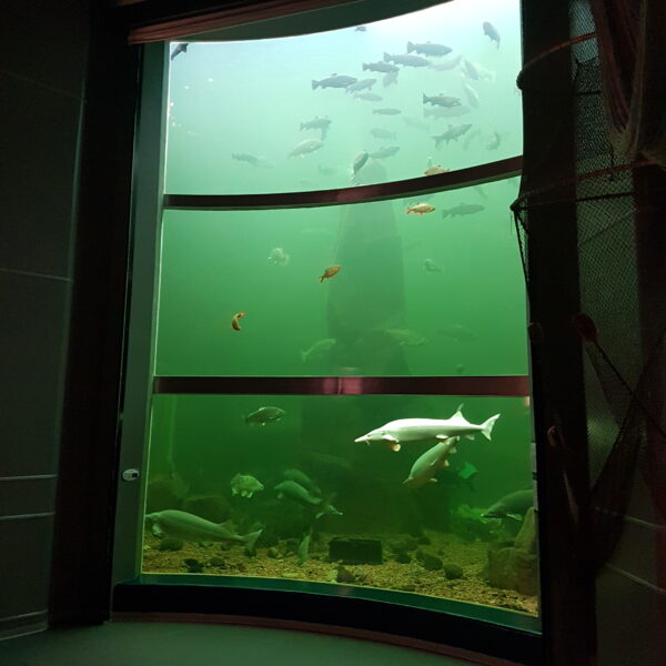 Kotka tank open