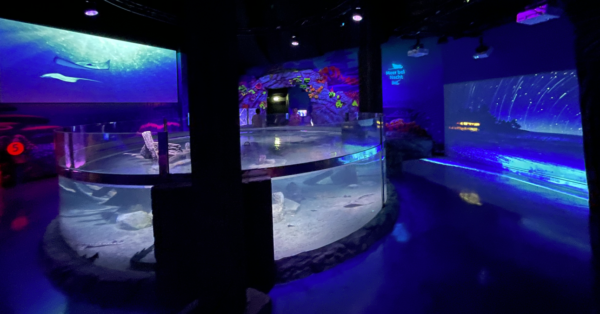 Sealife Konstanz aquarium refurbishment
