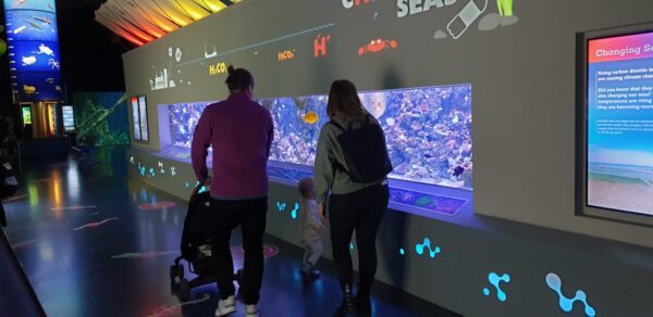 ATL coral tank