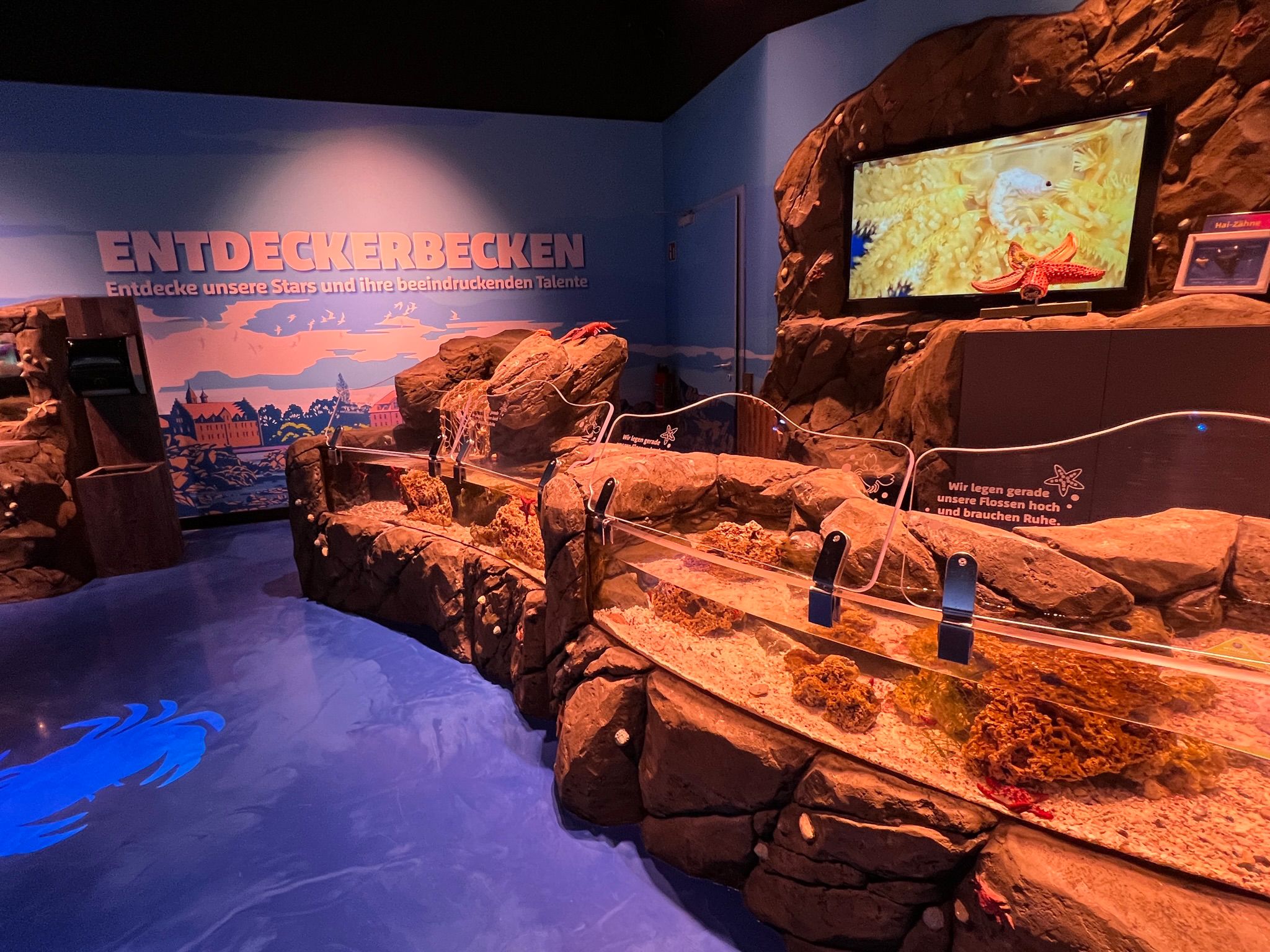Sealife Konstanz aquarium refurbishment