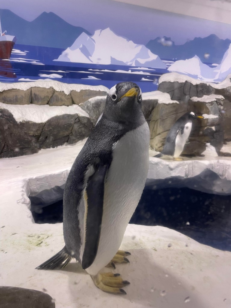 Penguins
