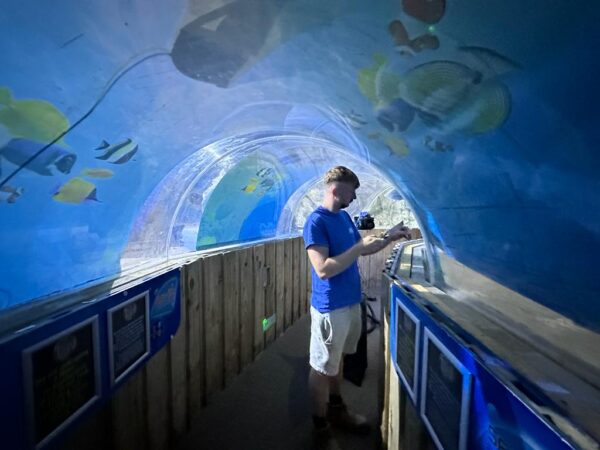 Ocean tank refurbishment