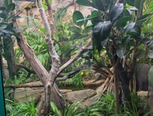ATL ZSL
