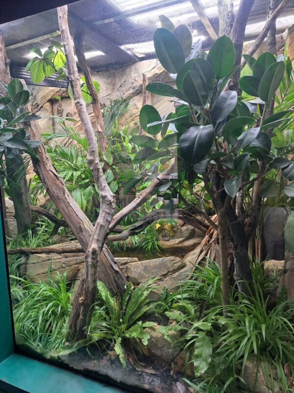 ATL ZSL