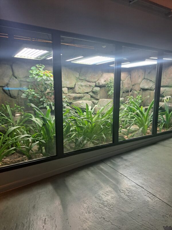 ZSL reptile house