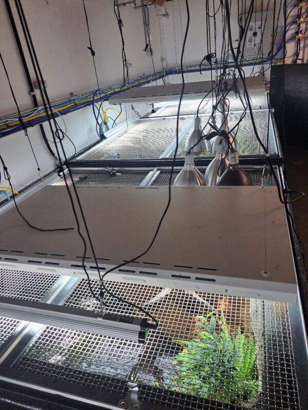 ZSL reptile exhibit