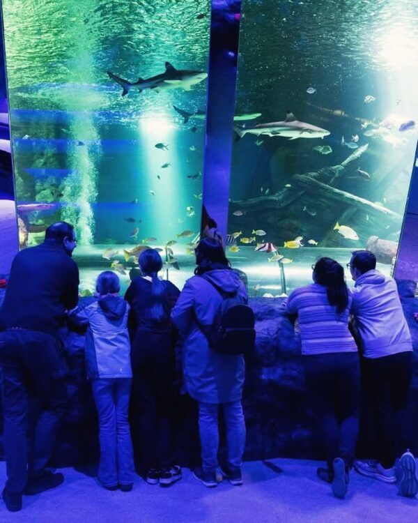 SEALIFE Great YArmouth