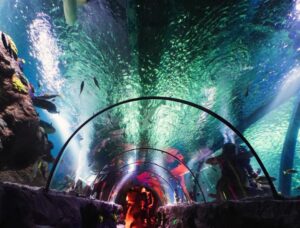 ATL tunnel