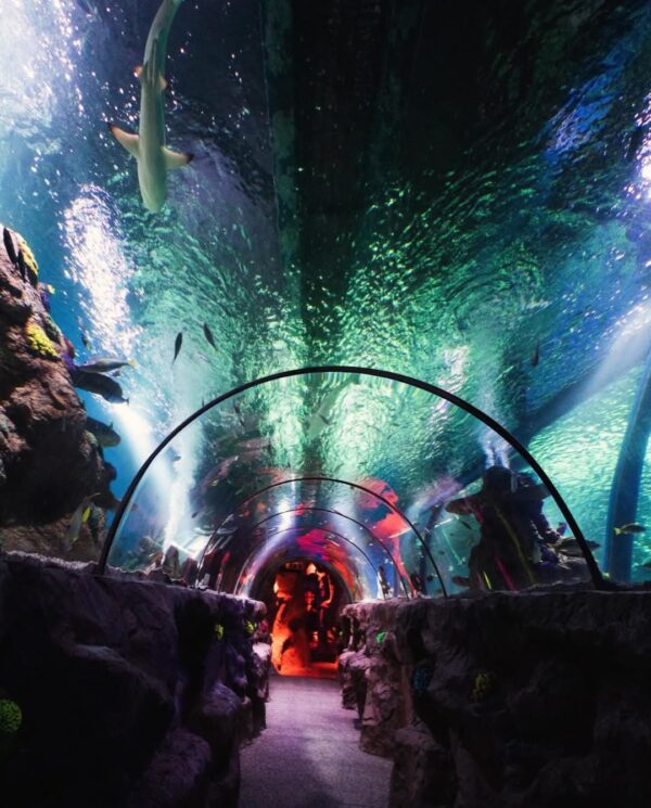 ATL tunnel