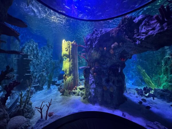 Sealife Helsinki ocean tank refurbishment