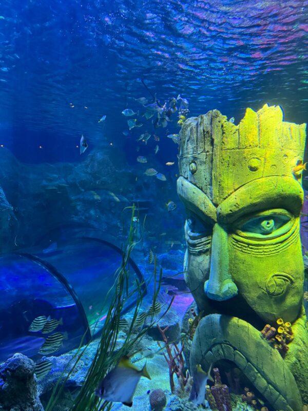 Sealife Helsinki ocean tank refurbishment 