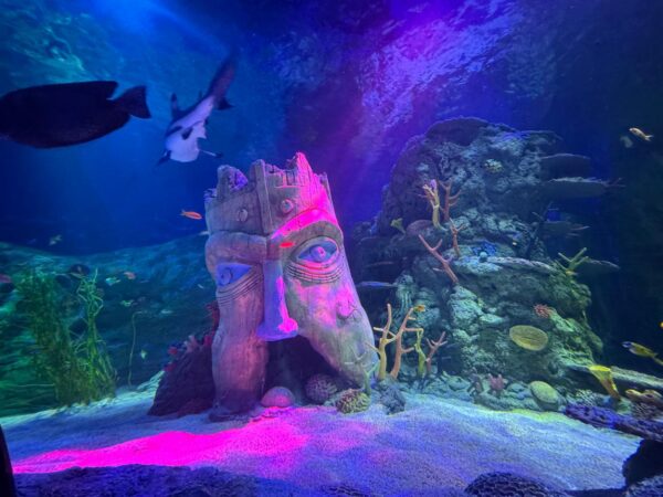 Sealife Helsinki ocean tank refurbishment