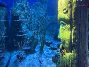 Sealife Helsinki ocean tank refurbishment