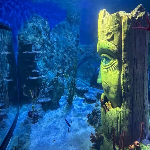 Sealife Helsinki ocean tank refurbishment
