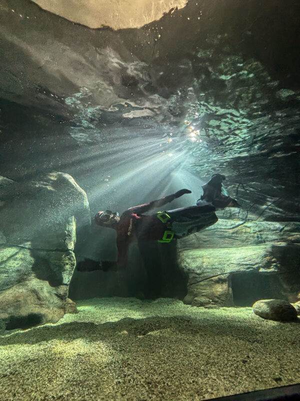 Havets Hus tunnel aquarium refurbishment