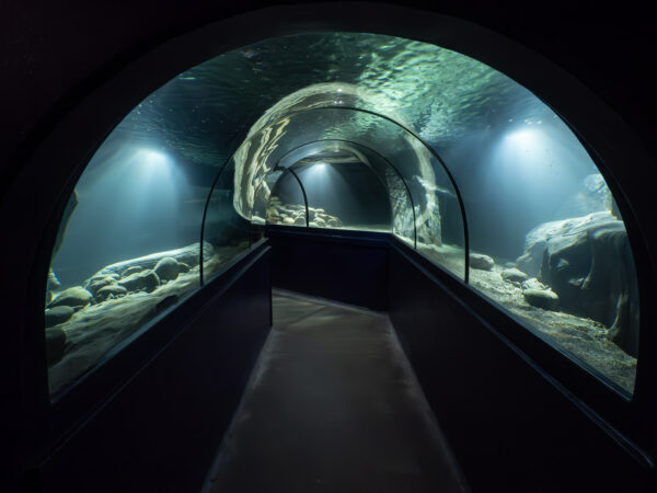 Havets Hus tunnel aquarium refurbishment