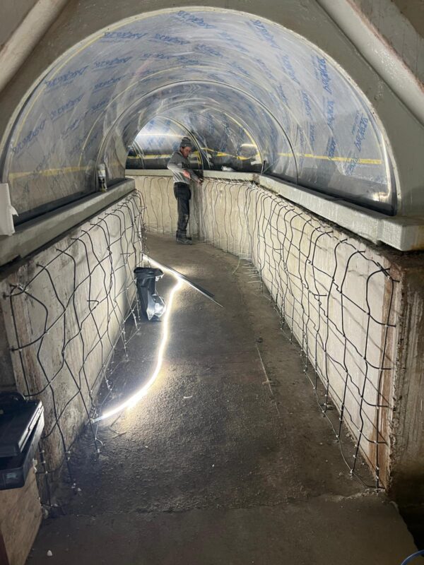 ATL Dutch aquarium revamp