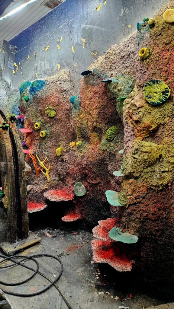 ATL's Dutch aquarium revamp