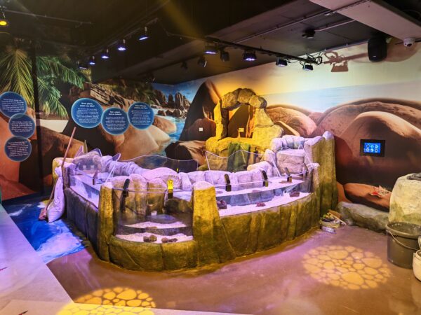 ATL's Dutch aquarium revamp