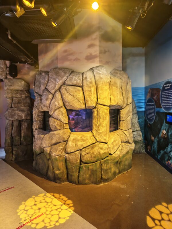 ATL's Dutch aquarium revamp